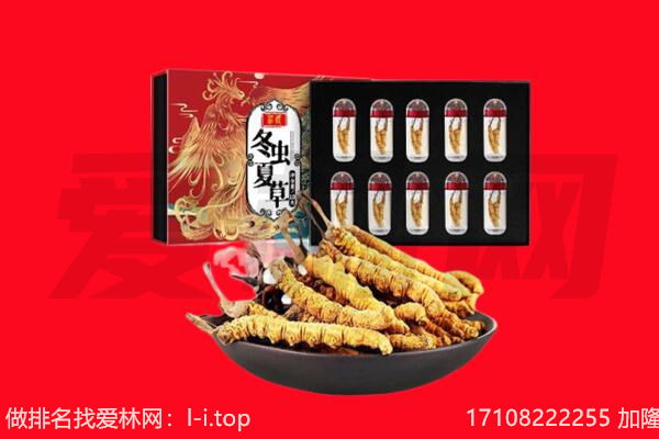 廊坊市固安回收虫草.jpg